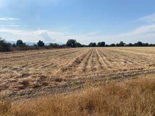 Lote / Terreno en Venta en Celaya Centro