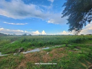 Lote / Terreno en Venta en Residencial