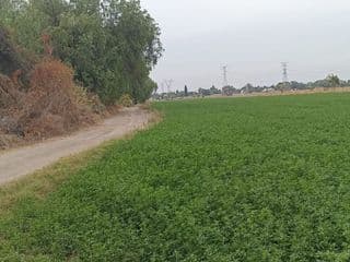 Lote / Terreno en Venta en Santa María