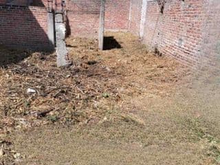 Lote / Terreno en Venta en Los Pinos